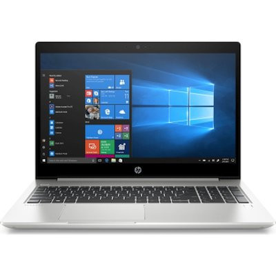 HP ProBook 455 G6 UMA Ryze3 2200U (6MS98EA)