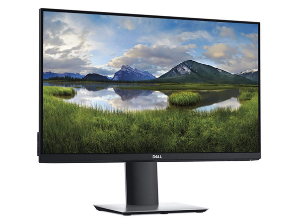 Dell P2419H